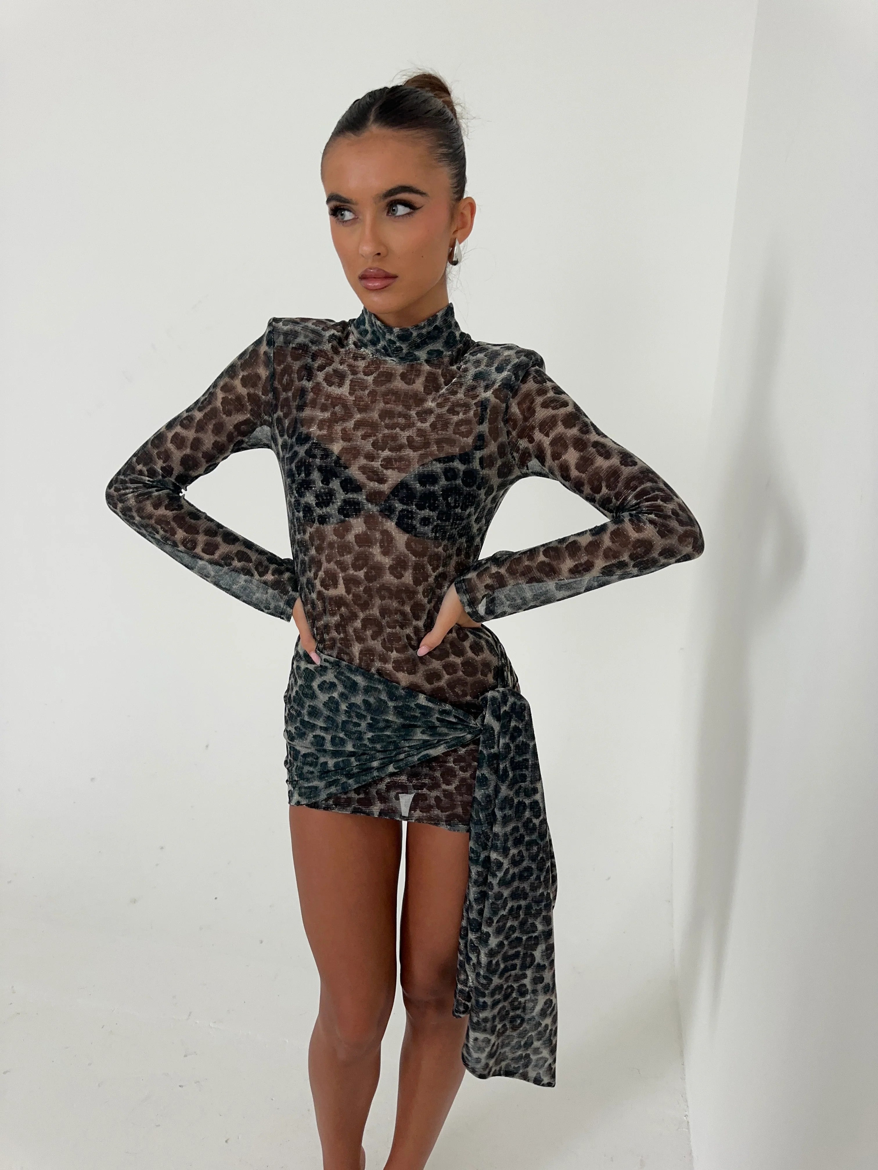 ARABELLA - SHEER CHEETAH PRINT DRESS