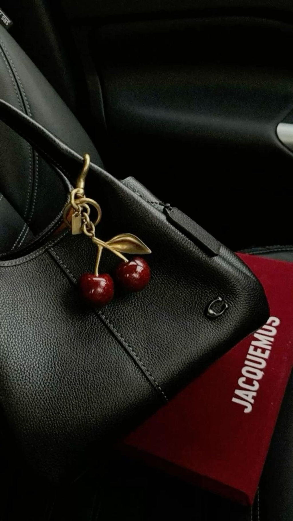 CERISE - CHERRY BAG CHARM